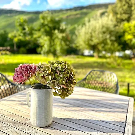 Gut Foersterlay - Exklusive Boutique Im Historischen Winzerhaus Direkt An Der Mosel Daire