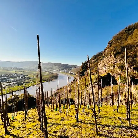 Daire Gut Foersterlay - Exklusive Boutique Im Historischen Winzerhaus Direkt An Der Mosel *