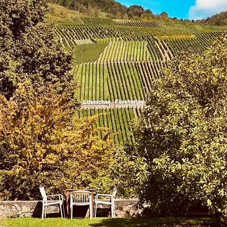 Apartment Gut Foersterlay - Exklusive Boutique Im Historischen Winzerhaus Direkt An Der Mosel