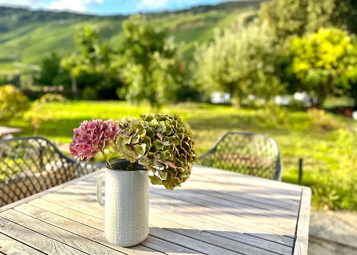 Gut Foersterlay - Exklusive Boutique Im Historischen Winzerhaus Direkt An Der Mosel Apartamento
