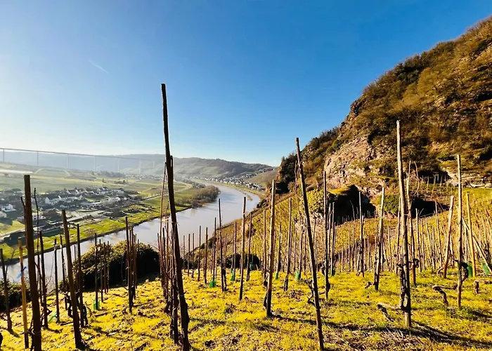 Apartamento Gut Foersterlay - Exklusive Boutique Im Historischen Winzerhaus Direkt An Der Mosel *