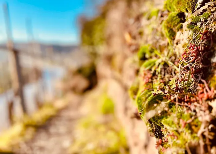 Gut Foersterlay - Exklusive Boutique Im Historischen Winzerhaus Direkt An Der Mosel Apartamento Lösnich
