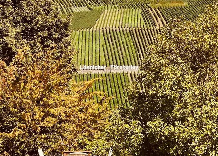Apartamento Gut Foersterlay - Exklusive Boutique Im Historischen Winzerhaus Direkt An Der Mosel